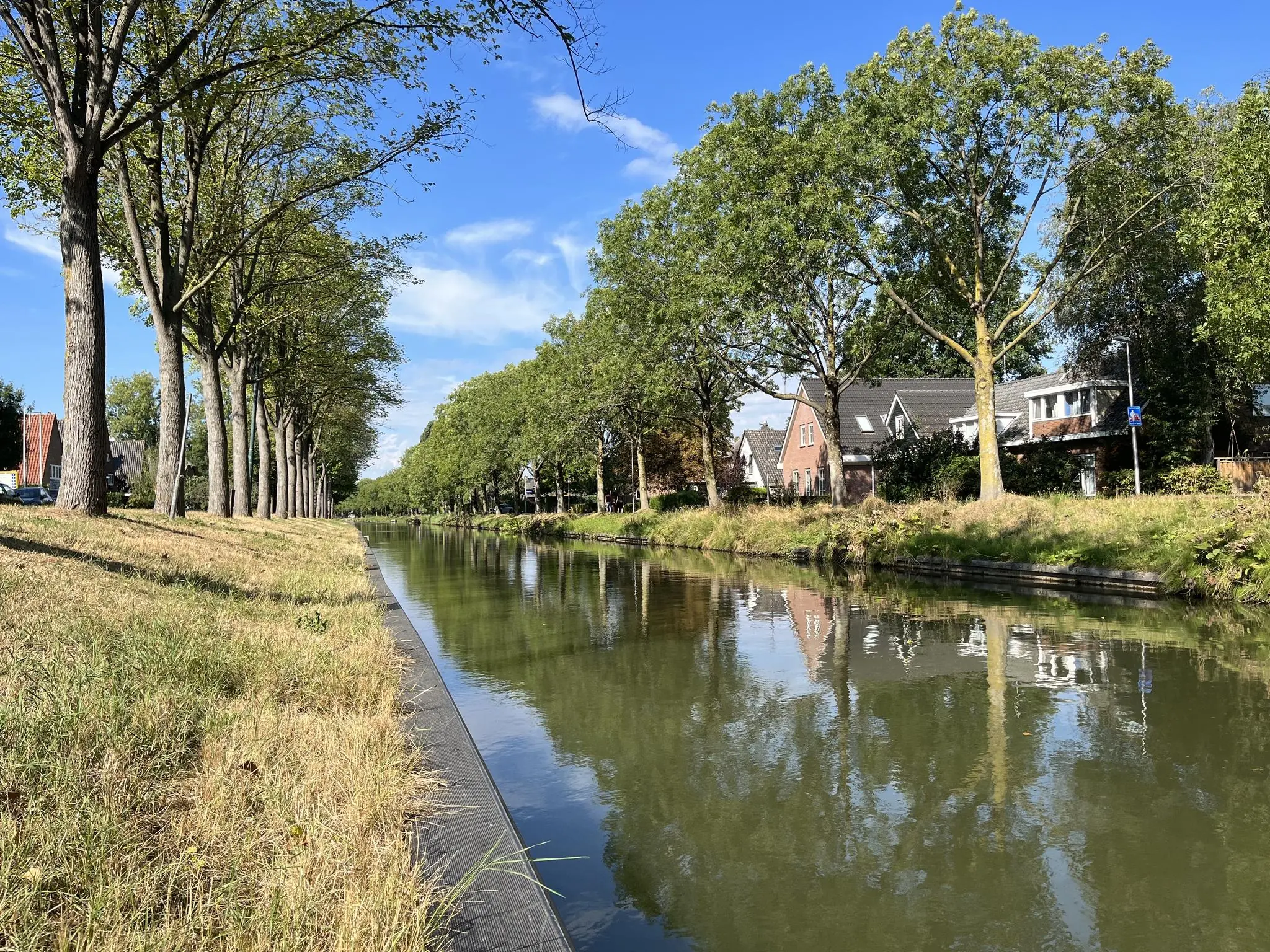 Boomrijke oever van de Leidse Rijn met woonhuizen en weerspiegeling in het water op een zonnige dag.
